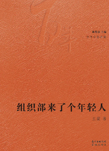 《组织部来了个年轻人》封面